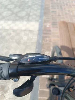 Bicicleta Trek Dual Sport 1 Gris