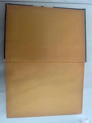 SuperZorro 1979 PrimaEdizione Walt Disney Mondador