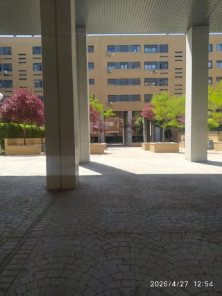 Piso