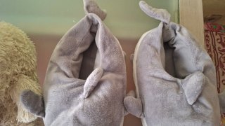 Zapatillas peluche oso y tiburón. 6€ c/u