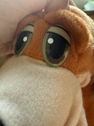 Peluche Perro Bruno La Cenicienta