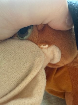 Peluche Perro Bruno La Cenicienta