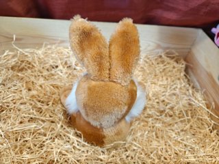 Peluche Conejo Marrón y Amarillo