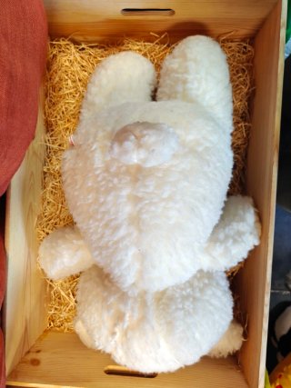 Peluches