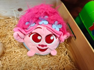 Peluches