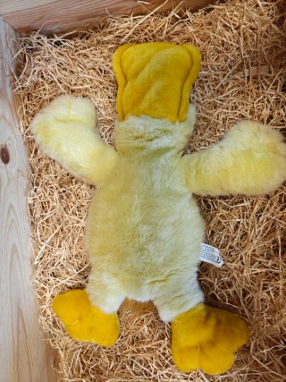 Peluches