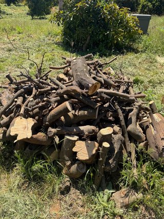 Leña de naranjo para chimenea