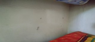 Litera plegable de madera y metal