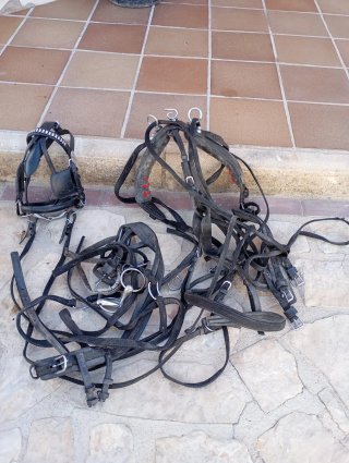 Silla de montar para poni con poni incluido