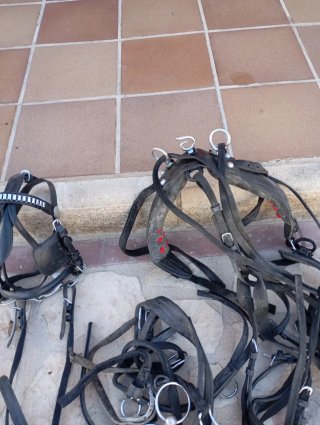 Silla de montar para poni con poni incluido