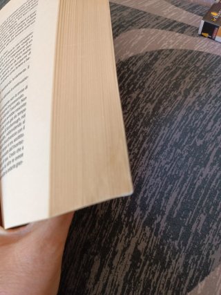 Nobody di Charlotte Link