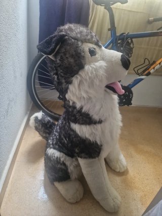 Peluche Husky Sultan