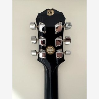 Epiphone Les Paul Special II Ebony + Custodia