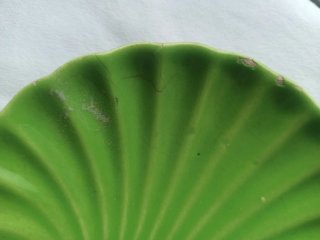 Prato em forma de concha verde