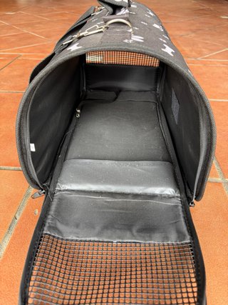 Pack accesorios para gatos