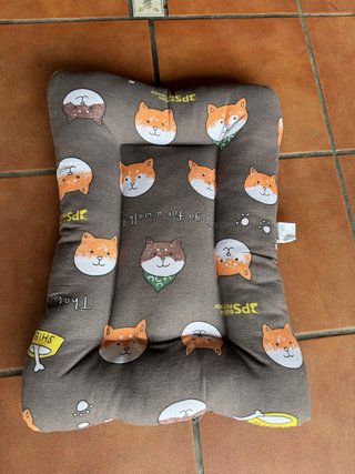 Pack accesorios para gatos