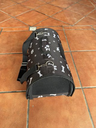 Pack accesorios para gatos