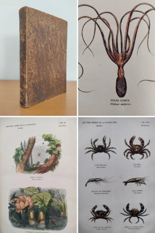 Libro antiguo grabados