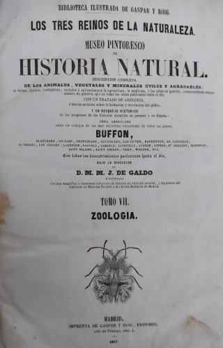 Libro antiguo grabados