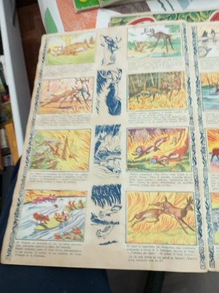 Álbum de Cromos Bambi Disney