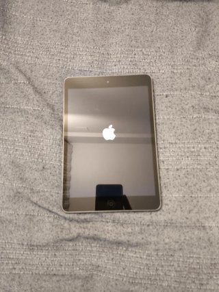 iPad Mini Apple Argento