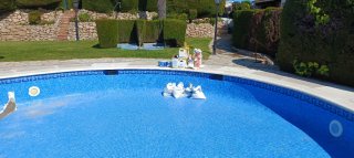 Borde de piscina cerámico y piedra