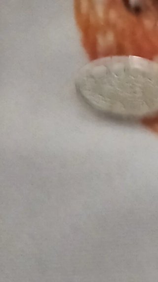 Specchio Argento 925 con Colibrì