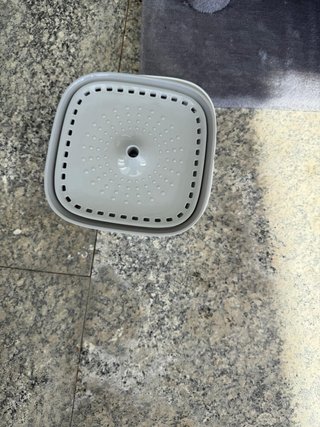 Vari prodotti per gatti