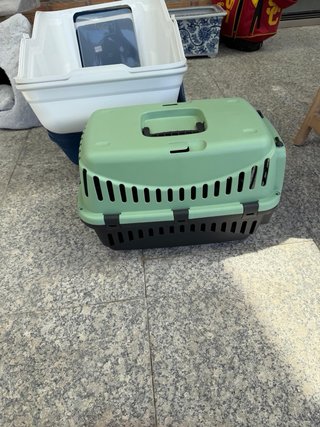 Vari prodotti per gatti