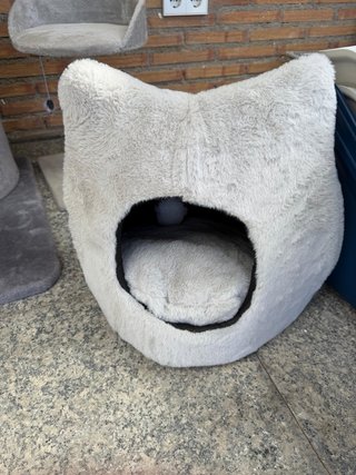 Vari prodotti per gatti