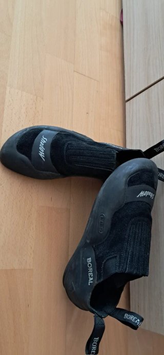 Pies de gato Boreal negros