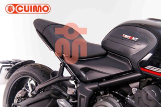 TRIUMPH TRIDENT 660