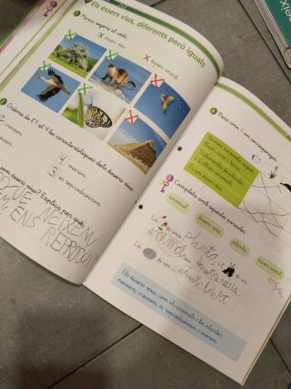 Ciències de la naturalesa 1r primària LA La Lle...