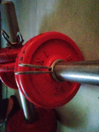 Mancuerna Salter 4 discos 1kg y cierres