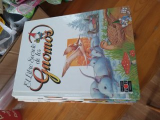 Colección El libro secreto de los Gnomos
