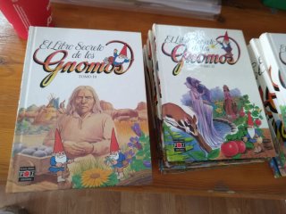 Colección El libro secreto de los Gnomos