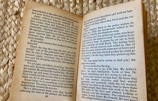 Lote 12 libros infantiles en inglés