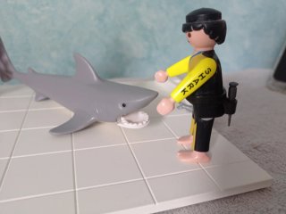 Playmobil Buzo Tiburón y Peces WQ