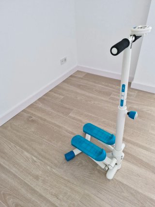 Stepper Domyos con manillar