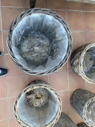 Macetas de mimbre para jardín