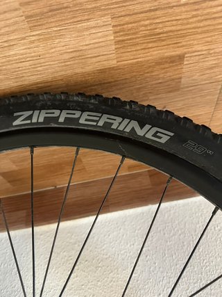 Rueda trasera 29” Giant con disco y piñones