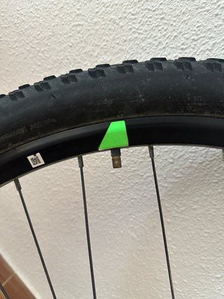 Rueda trasera 29” Giant con disco y piñones