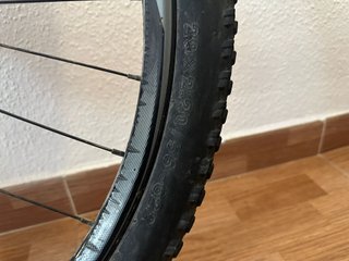 Rueda trasera 29” Giant con disco y piñones