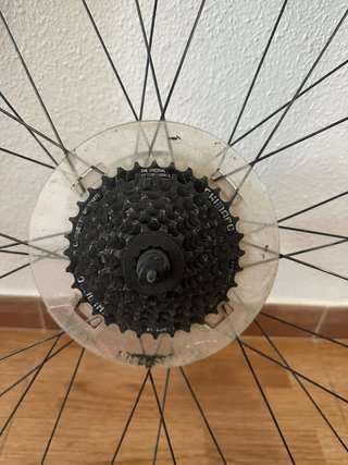 Rueda trasera 29” Giant con disco y piñones