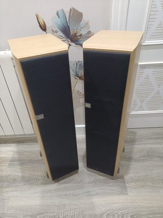 Altavoz JBL Balboa Home Cinema + Satélites BOSE