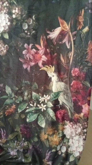 Espectacular tela de terciopelo estampado