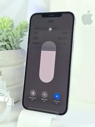 iPhone 12 Pro Max Batería 100% Blanco Plata