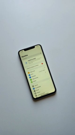 iPhone 11 Pro Max 64GB Plata