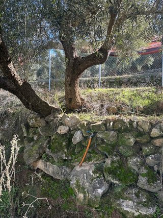 Finca de regadío en Cogollos