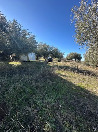 Finca de regadío en Cogollos